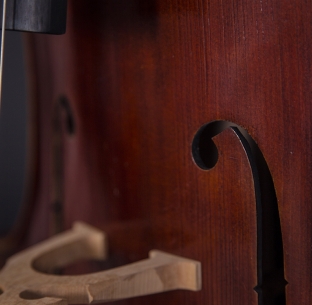 Violines de Luthier | Wood & Good