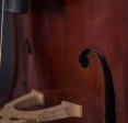 Violines de Luthier | Wood & Good