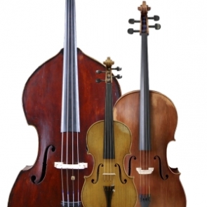 comprar violines violas chelos contrabajos
