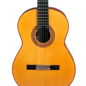 guitarra flamenca
