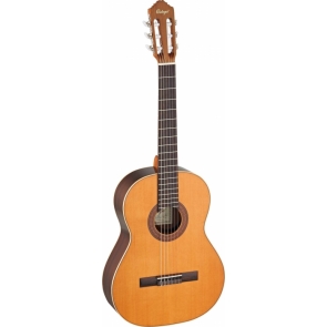 Guitarra Ortega R190G Serie Tradicional 