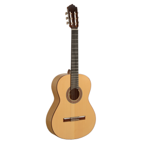 Guitarra Paco Castillo 211F