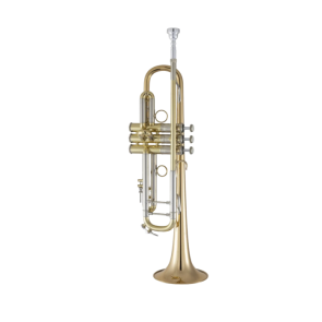 Trompeta Bach 190LV/65G Tudel 43 Campana Goldmessing