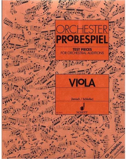 Orchester Probespiel. Viola