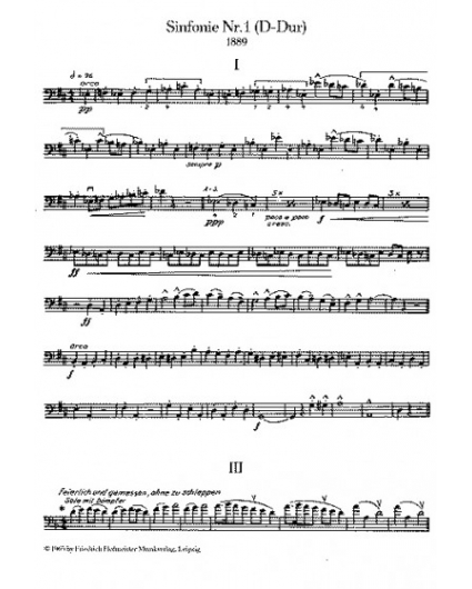 Orchesterstudien Kontrabas