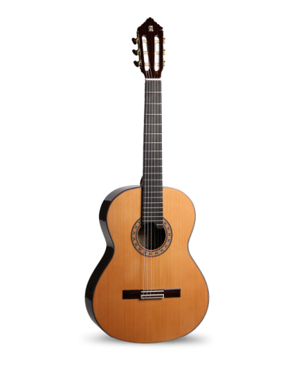 Guitarra Alhambra 10 Premier