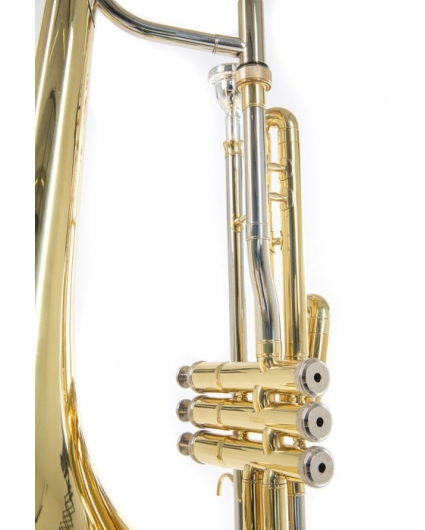 Trombon Roy Benson Pistones VT-227