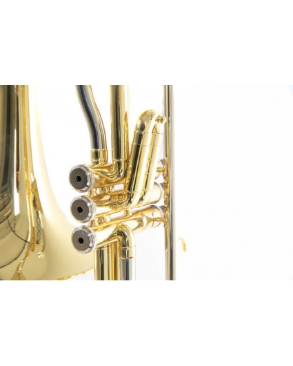 Trombon Roy Benson Pistones VT-227