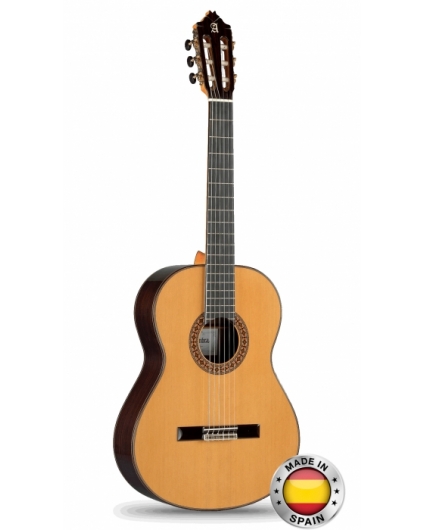 Guitarra Alhambra 8P