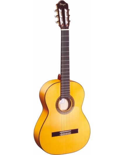 Guitarra Ortega R270F Serie Tradicional 