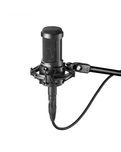 Microfono Audio-Technica AT2050