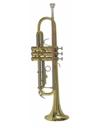 Trompeta Bach TR650