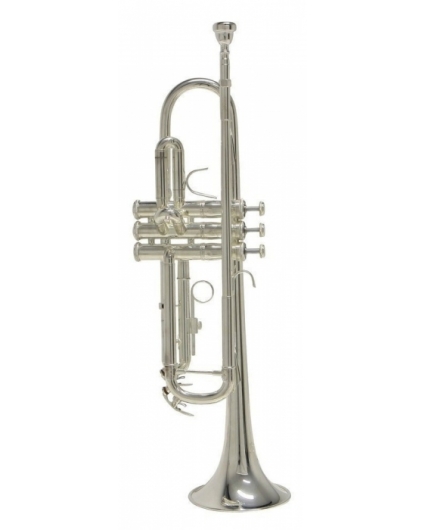 Trompeta Bach TR650S