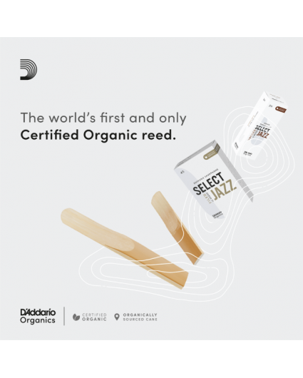 Cañas Saxofon Soprano D'addario Organic Select Jazz Unfiled