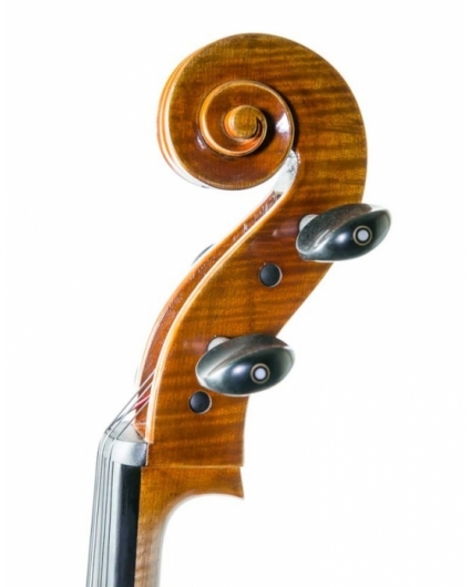 Violonchelo Antonio Wang Brandenburg