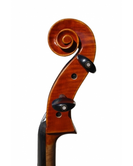 Cello F. Müller Virtuoso