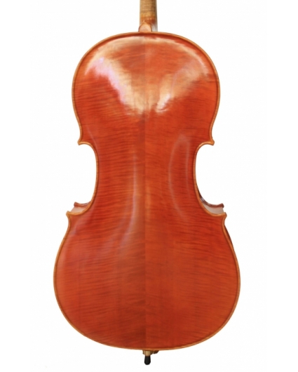 Cello F. Müller Virtuoso