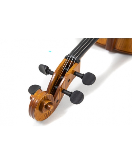 Cello Gewa Concierto Georg Walther