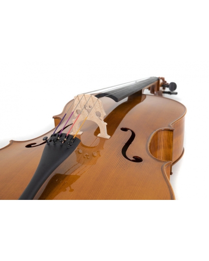 Cello Gewa Concierto Georg Walther