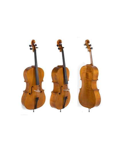 Cello Gewa Concierto Georg Walther