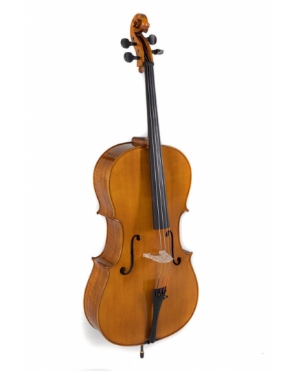 Cello Gewa Concierto Georg Walther