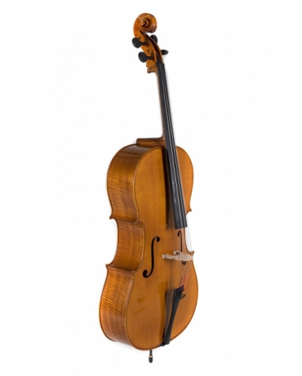 Cello Gewa Concierto Georg Walther