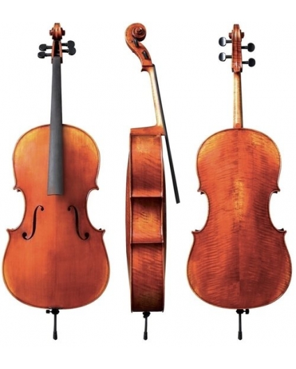 Cello Gewa Maestro 24
