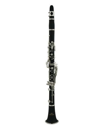 Clarinete Roy Benson CB-317