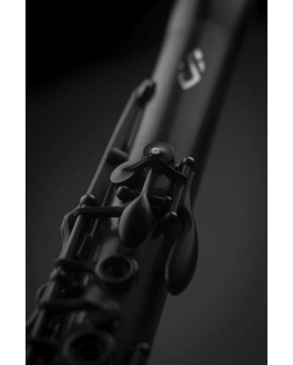 Clarinete Selmer Privilege Evolution Llaves Negras