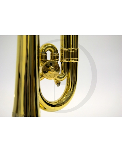 Corneta Honsuy Carmen Do/Reb Dorada