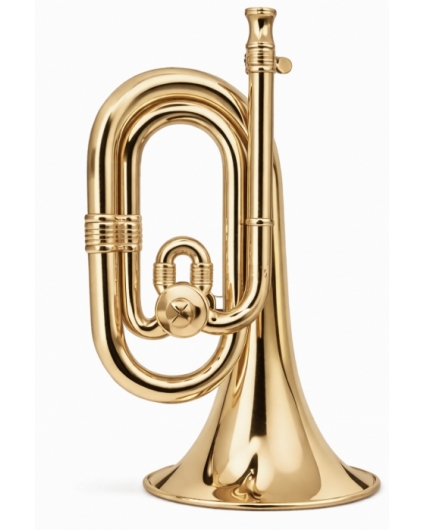 Corneta Honsuy Gloriosa Dorada Campana Cobre