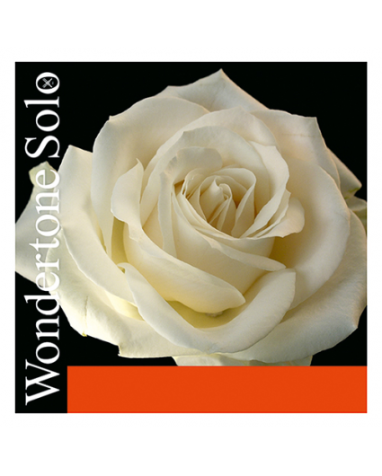 Cuerda Mi Violin Pirastro Wondertone Solo 315221