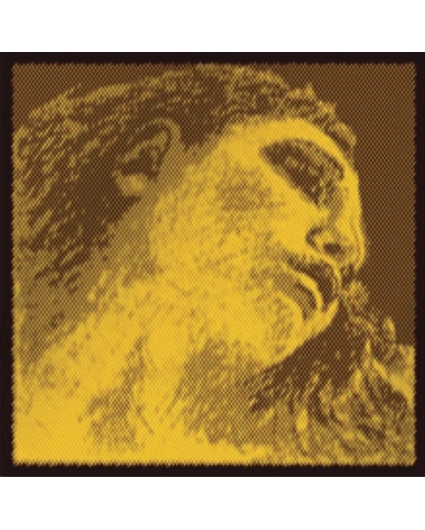 Cuerda Pirastro Evah Pirazzi Gold 415921