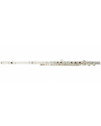 Flauta Roy Benson FL-402R