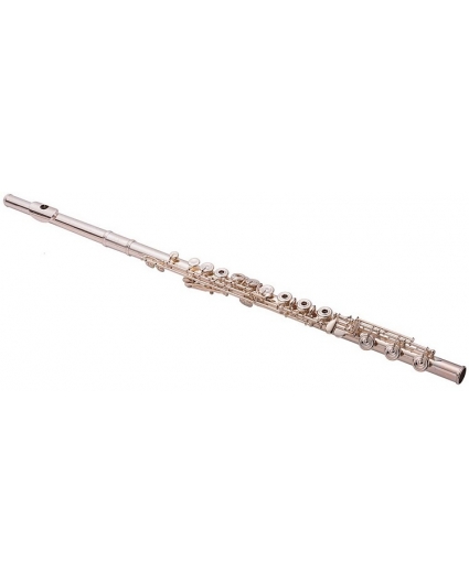 Flauta Altus 907Sr