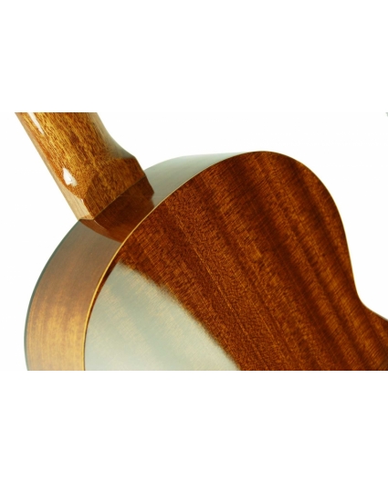 Guitarra admira Paloma