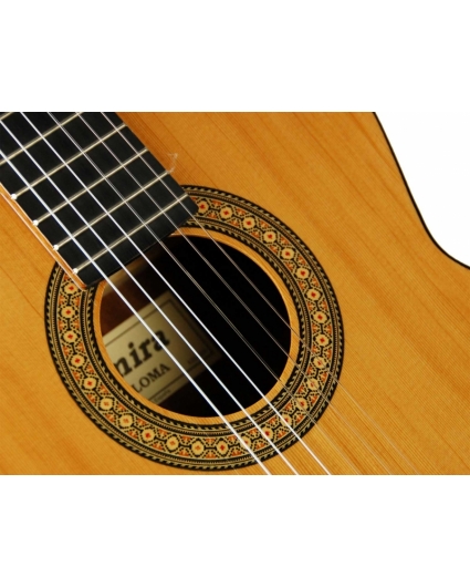 Guitarra admira Paloma