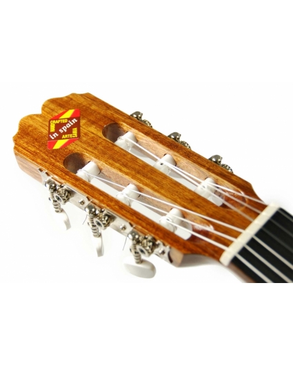 Guitarra admira Paloma