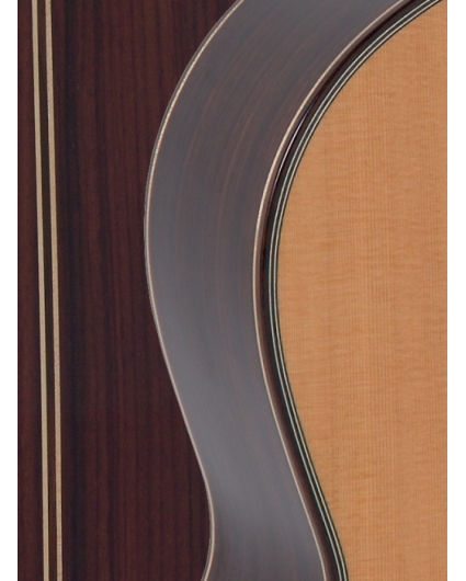 Guitarra Admira A20