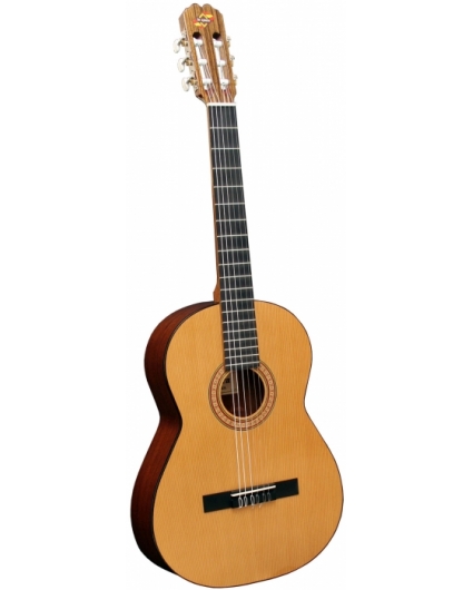 Guitarra admira Paloma