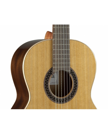 Guitarra Alhambra 1C Hybrid Terra