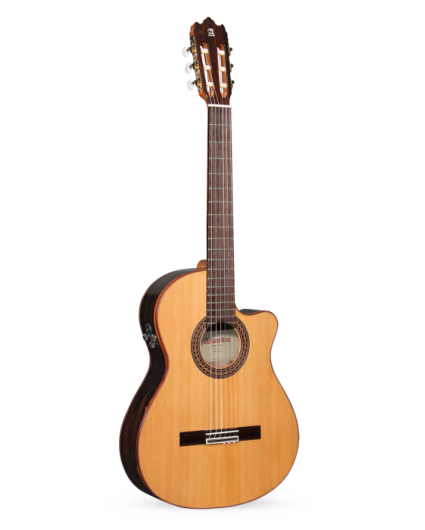 Guitarra Alhambra Iberia Ziricote CTW E8