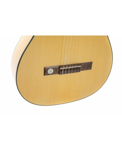 Guitarra Gewa Pro Arte Flamenco