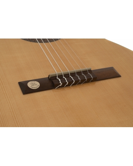 Guitarra Gewa Pro Arte GC130A