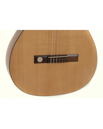 Guitarra Gewa Pro Arte GC130A