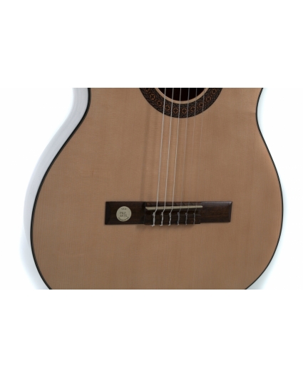 Guitarra Gewa Pro Arte GC210A