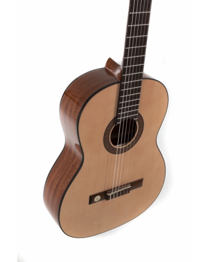 Guitarra Gewa Pro Arte GC210A