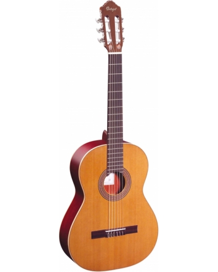 Guitarra Ortega R200SN Serie Tradicional 