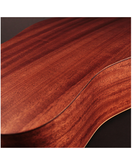 Guitarra Cort EARTH Bevel Cut OP