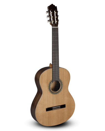 Guitarra Paco Castillo 201